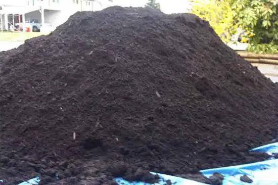 Montón de humus de lombriz listo para usar como sustrato ecológico