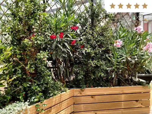 Jardineras de madera con adelfas y trepadoras en flor en una terraza de Barcelona