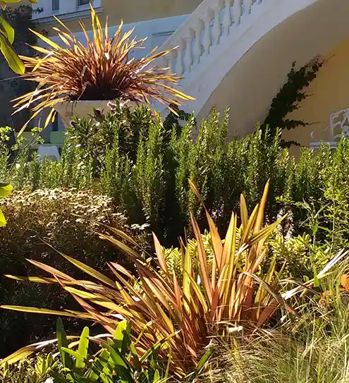 Huertocity plantando parterres en Barcelona