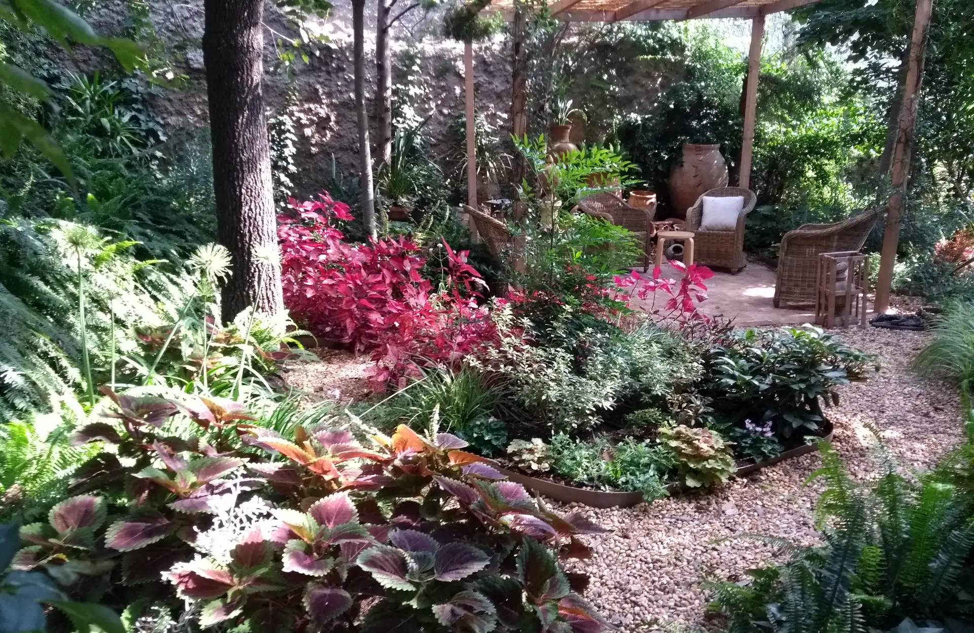 Jardín de sombra con coleos, helechos y zona de estar con butacas de mimbre