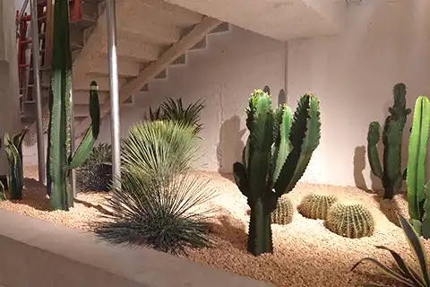 Jardín seco de interior con cactus y gramíneas en una tienda