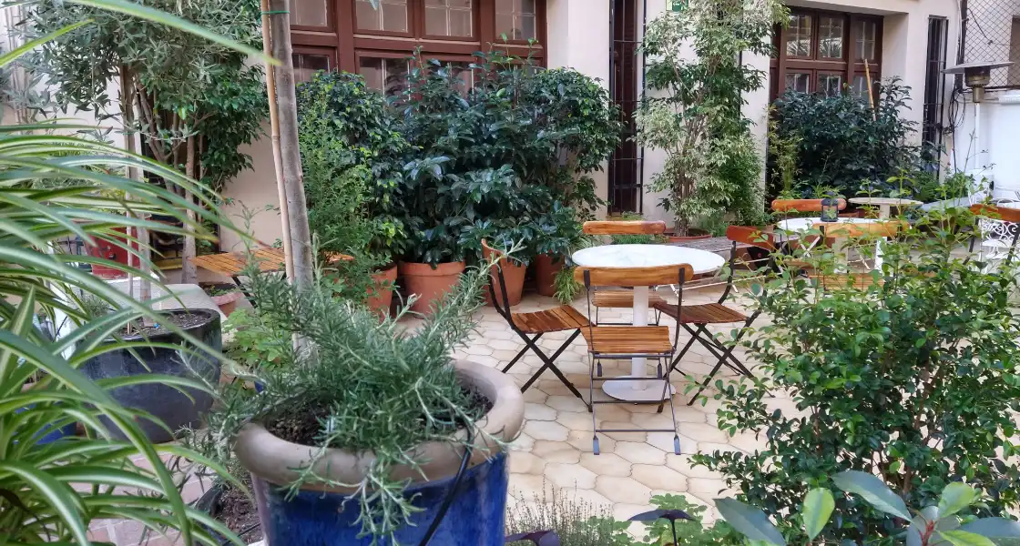 Jardineria per a terrasses de bars i restaurants a Barcelona, per crear un ambient relaxant per als seus clients