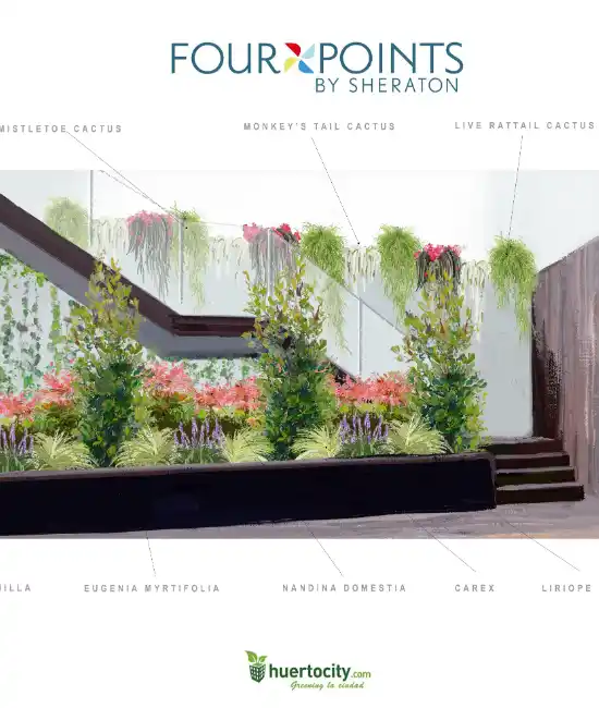 Diseño de la terraza del hotel Four Points by Sheraton con plantas colgantes
