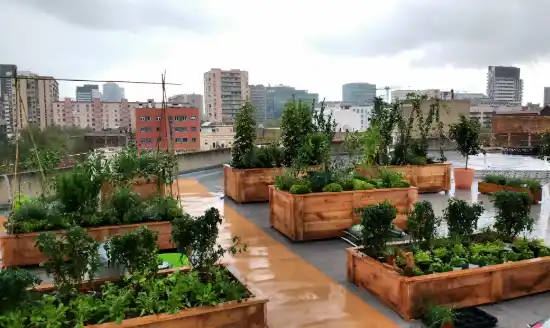 Green Thumb: huerto urbano para un anuncio