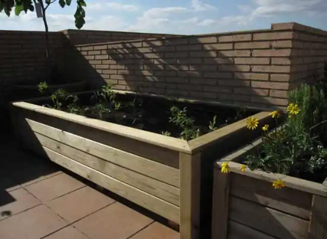 Camas de cultivo elevadas de madera en una azotea