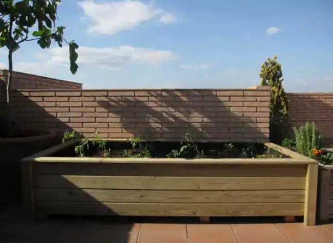 Cama de cultivo elevada de madera recién plantada en una azotea