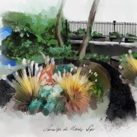 Ilustración del diseño de un jardín con gramíneas y cordylines
