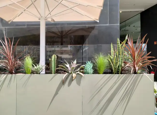 Jardineria per a cafeteries i bars