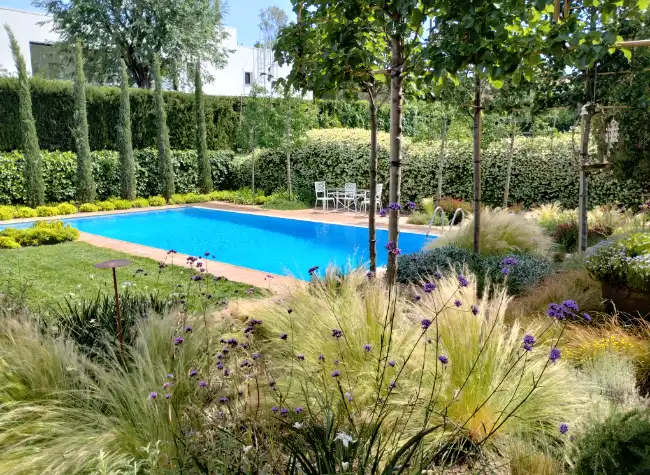 Disseny d’un jardí amb piscina, arbres i gramínies a Valldoreix