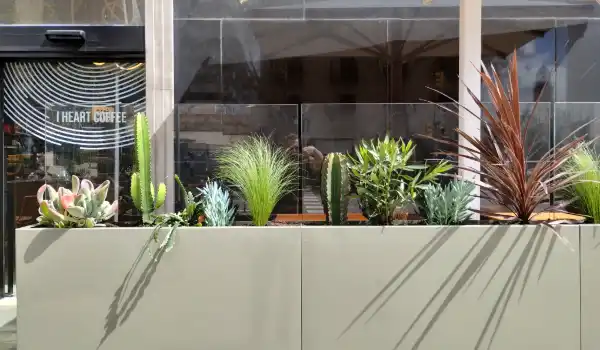 Jardinera con cactus y gramíneas en la terraza de una cafetería