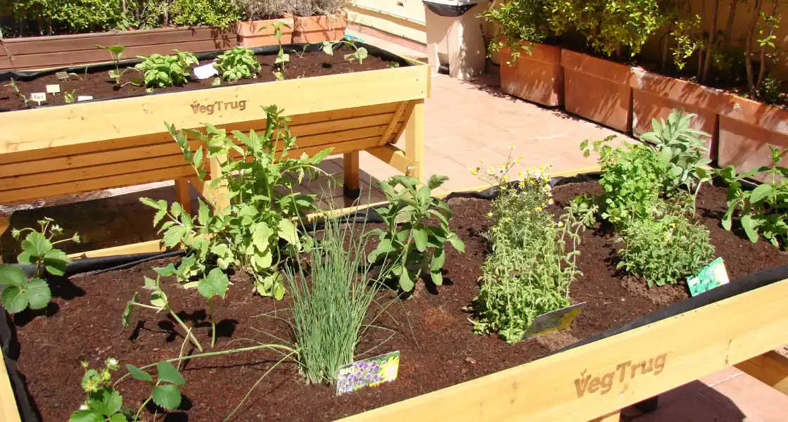 Mesas de cultivo Vegtrug plantadas con aromáticas en una terraza de Barcelona